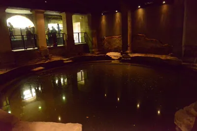 DSC_2670 (Large).JPG